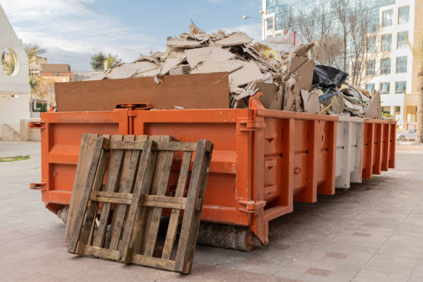 Yard Cleanup Services in Elsa, TX