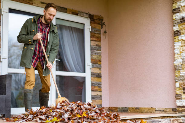 Best Same-Day Junk Removal  in Elsa, TX